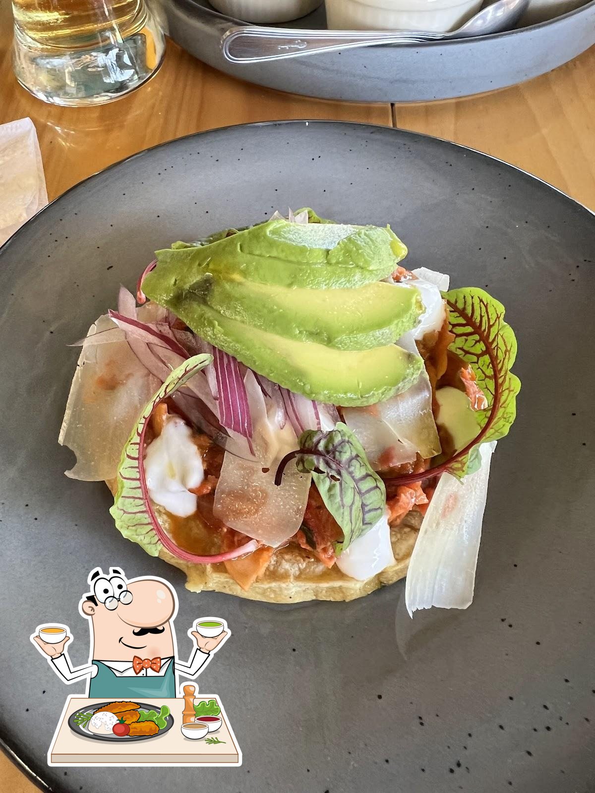 Pulpo